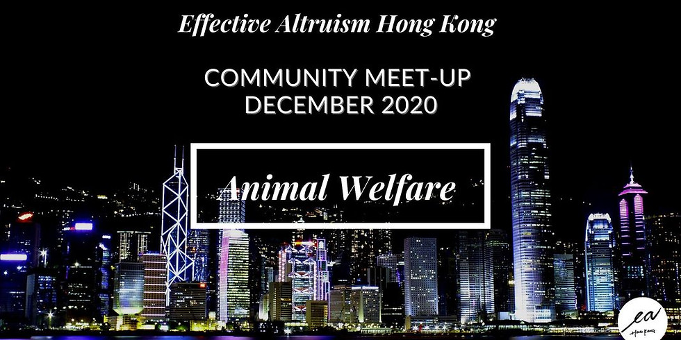 Monthly Meetup December - Animal Welfare