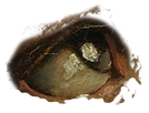 0f14b73582d24164210c112ca929ee94_edited_edited_edited_edited_edited.png