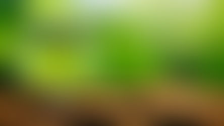 Sustainability in 2025: From Buzzword to Business Strategy