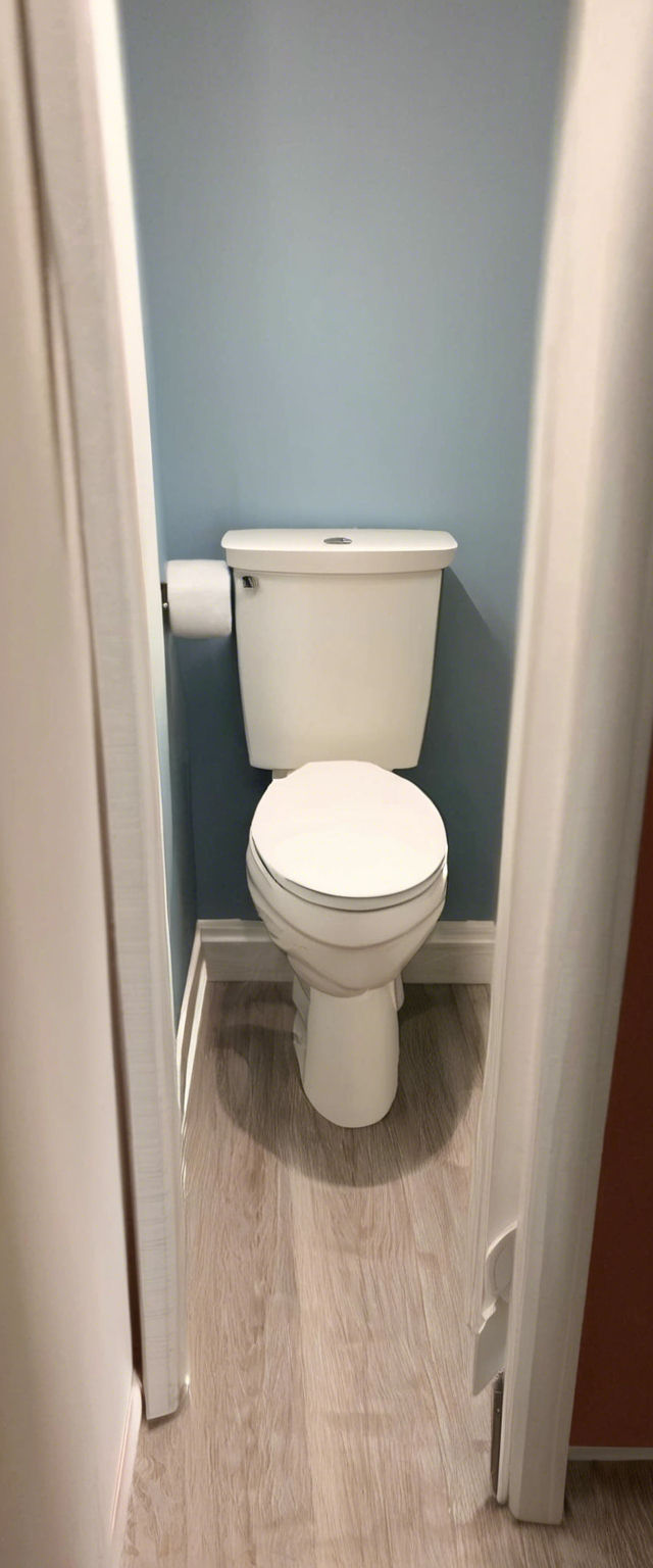 A white toilet sits in a small bathroom, with a roll of toilet paper on the wall to the left and light wood laminate flooring.