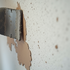 Fix Your Drywall Like a Pro Today