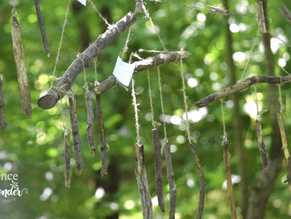Nature Wind Chimes