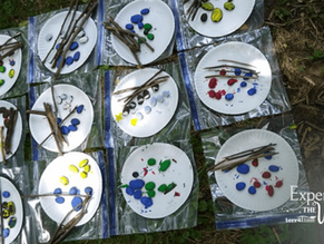 Nature Inspired: Tic-Tac-Toe