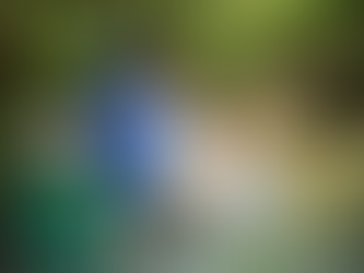 Our Experience With TerraTime