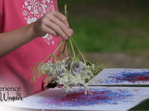 Nature Paint Brushes