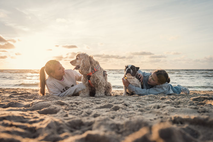meisjes met hondjes zee
