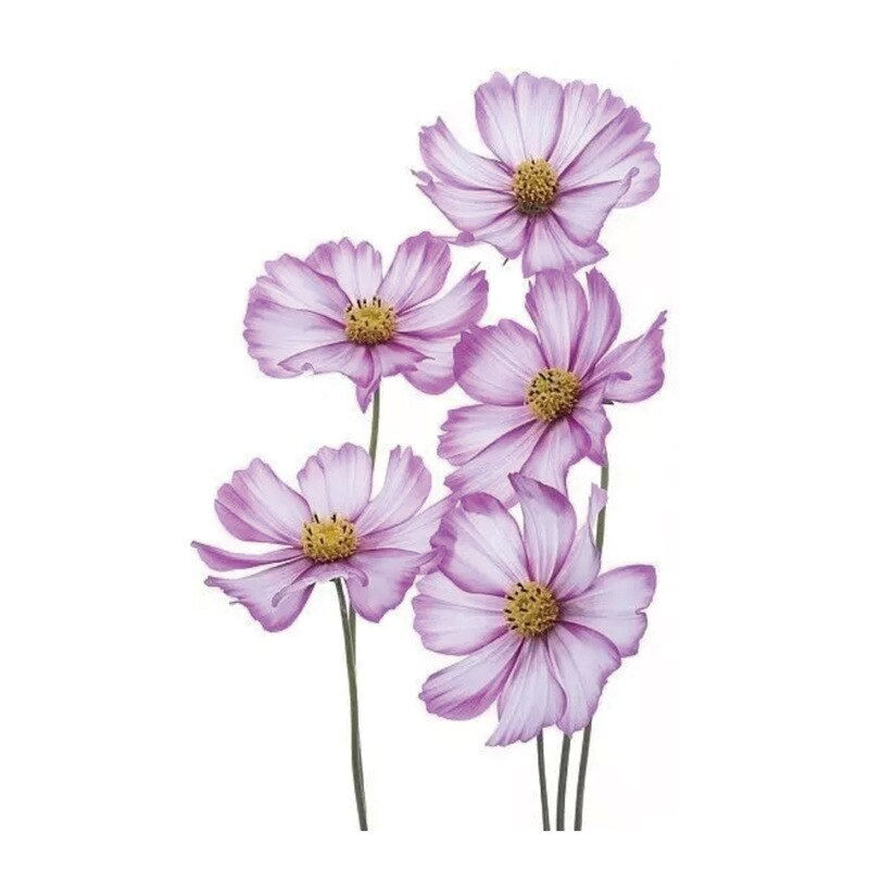 Miniature : 1pcs Temporary Tattoo Stickers Men Women Flower Rose Moon Butterfly Water