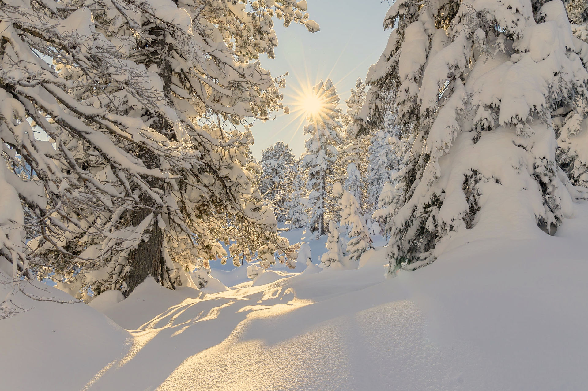 Naturfotodesign Herbert Roos
