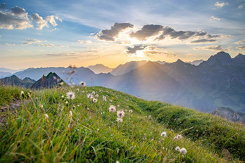 Naturfotodesign Herbert Roos