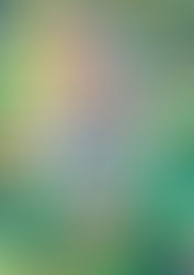 Le livre de la JUNGLE