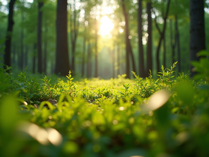 The Importance of Sustainable Living in Today's World