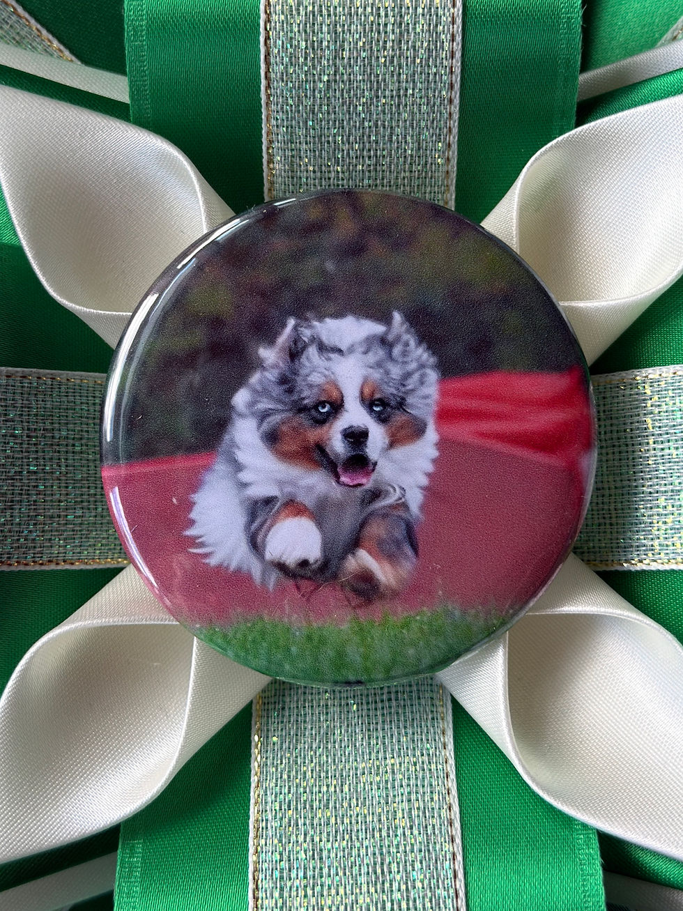 Thumbnail: Custom Photo Button 