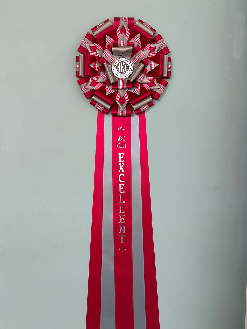 Thumbnail: Gingham - 10" Rosette - Your Choice of Colors