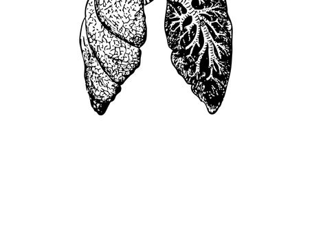 Discover the Power of Diaphragmatic Breathing: Unleash the Healing Potential of Your Breath