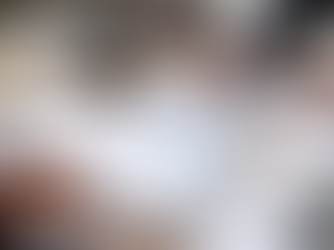 Understanding Non-Performing Loans: Risk, Recovery, and Investment Opportunity