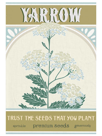 An A4 illustrated print of a seed packet design featuring yarrow, vintage style lettering and a botanical quote