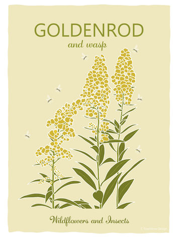Illustration of yellow and green goldenrod and wasps with a pale yellow background. Uk wildflowers and insects collection.
