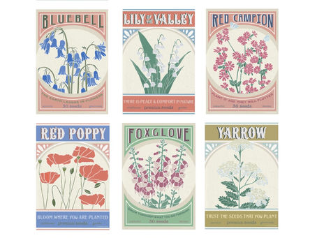 a set of twelve illustrated designs of retro wildflower seed packets in mixed colours with retro fonts