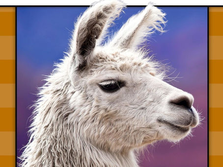 Llama (engelsk)