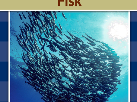 Fisk