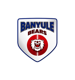 Dvca Diamond Valley Cricket Association