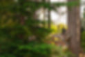 Lelem Village-20 kid on playground.jpg