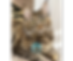 Untitled design-5.png