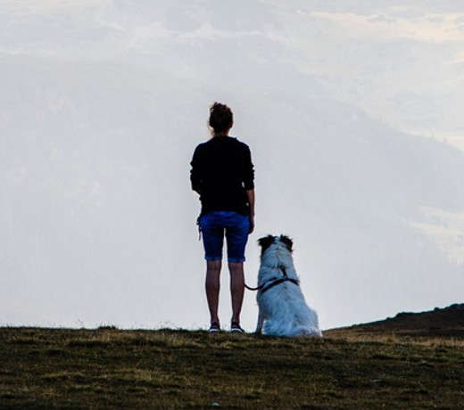 dog-training-services-telluride-colorado-ruff-mountain-dog-trainer.png
