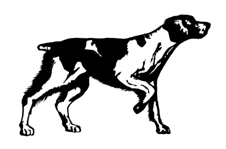 Bird Dog - Lighting and Grip Rentals - N