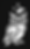 Magic Moco.png