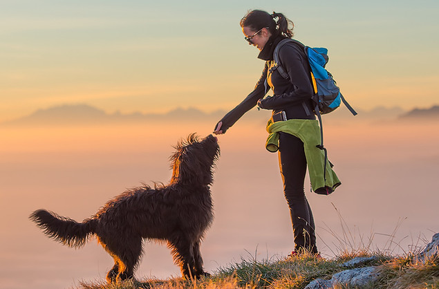 dog-trainers-near-telluride-colorado-ruff-mountain-dog-training.png