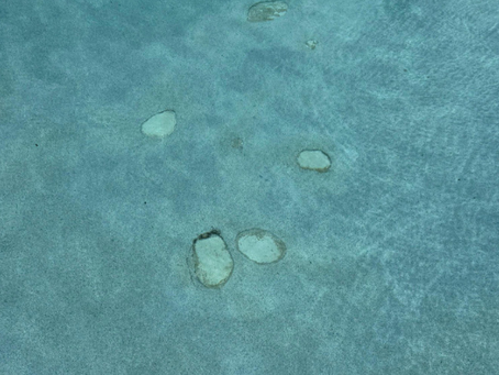 Common Questions Homeowners Ask About Pool Resurfacing