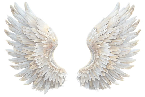 wings 50_edited_edited.png