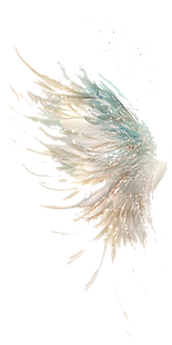 angel wings light_edited_edited.png