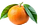 orange-isolated-on-white-background-260nw-2564955301.png