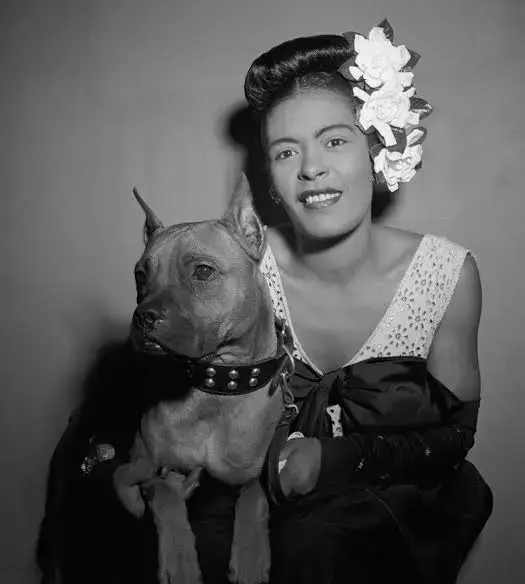 Black and white portrait of Billie Holiday smiling, wearing white flowers in her hair and a satin dress, seated with her pet boxer dog