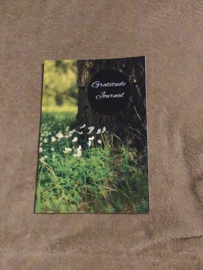 Gratitude Journal 
