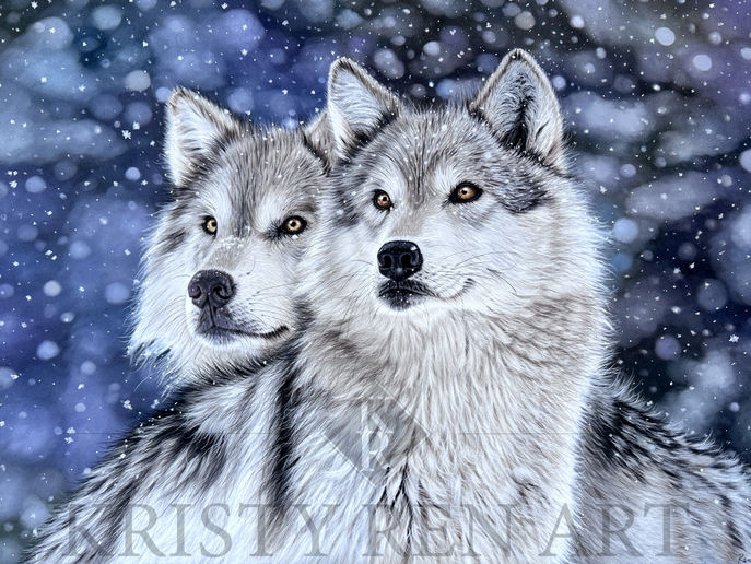 Two wolves in the snow