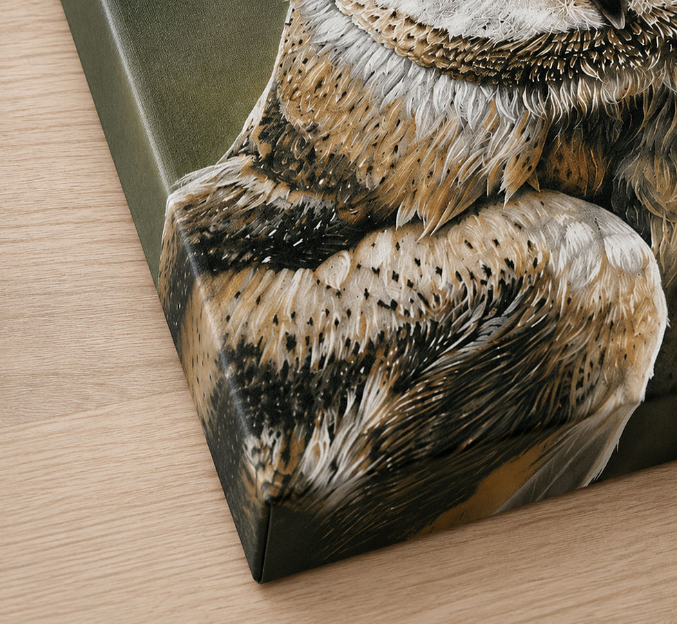 Thumbnail: Tyto Alba Canvas