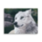 Thumbnail: Quiet Wisdom Canvas