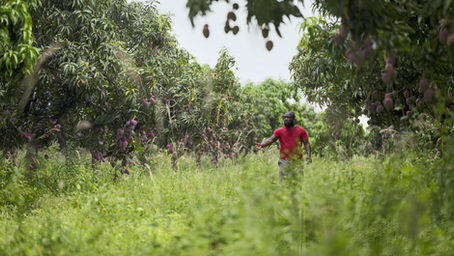 Un film sur le trader voyou d'UBS ouvrira les Journées de Soleure 2026