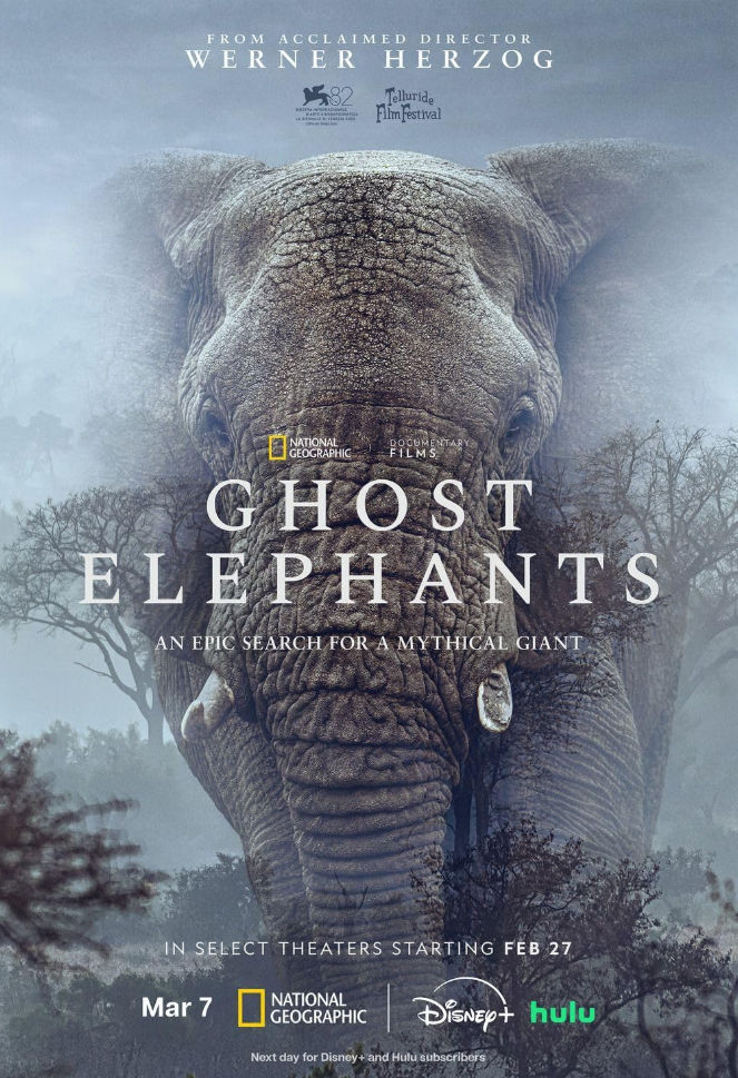 Ghost Elephants