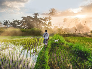 Cap sur Bali en février