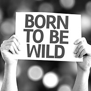 First Aid Nachhilfe Natur- und Erlebnispädagogik Born to be Wild