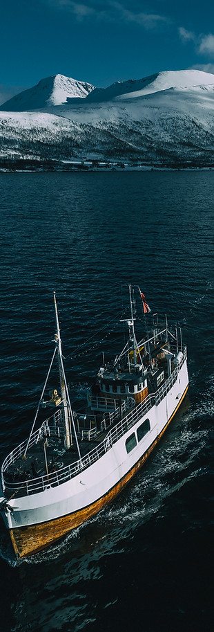 Vulkana_Drone_Påske24_NordLenangen_LowRes_DMP--7.jpg