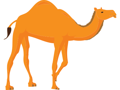 camel.gif