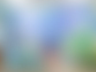 The Karen Beasley Sea Turtle Rescue and Rehabilitation Tour