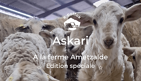 Askari-2-2.png