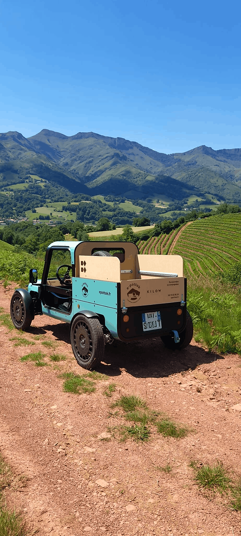 Cocon montagne et vignes basques