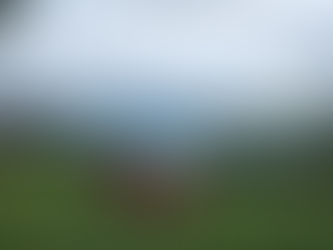 Early Morning - Entourage Sur Le Lac